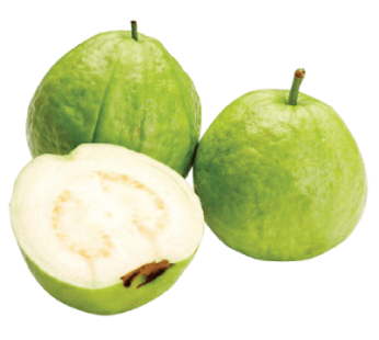 Guava / Peru : 1 Kg (4 to 5 Pc Approx)