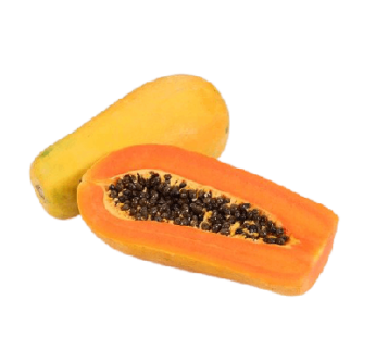 Papaya : (1 kg – 1.5 kg)