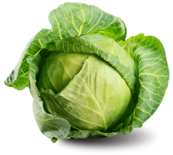 Patta Gobi (Cabbage) : 1 Pc (400 gm – 500 gm)