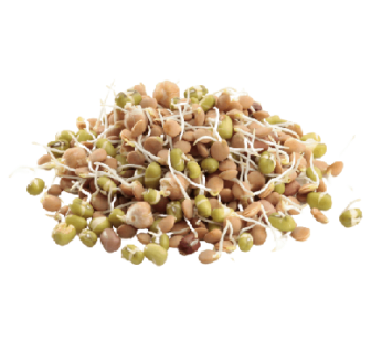 Sprouts Fresh – Mixed Grams : (250 gm)