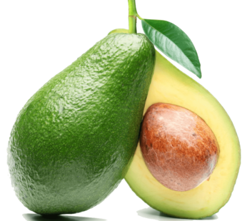 Avocado (Butter Fruit) Indian grown- 1 piece