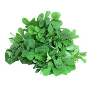 Methi (Fenugreek Leaves) : 1 Bundle