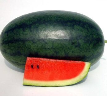 Watermelon : 1 Pc (1.6 Kg-1.9 kg)