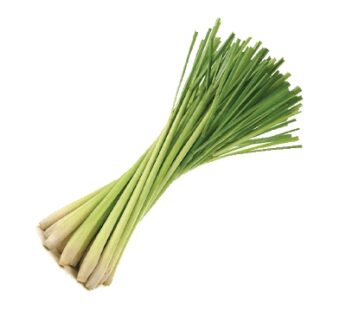 Gavti Chaha (Lemon Grass) : 1 Bundle