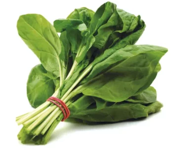 Palak, Spinach leaves: 1 Bundle