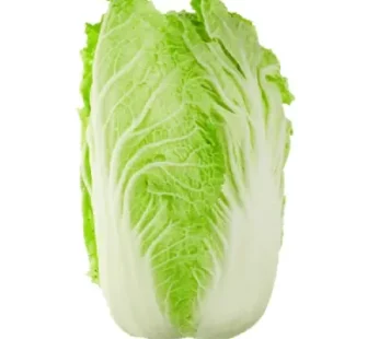 Iceberg Leafy Lettuce – 1 Pc (400 to 500 gm)