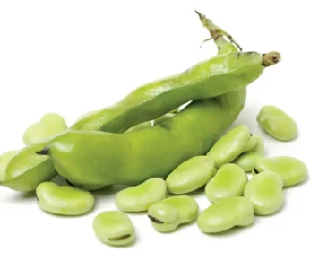 Soya Bean (Fava Beans) – 250 gm