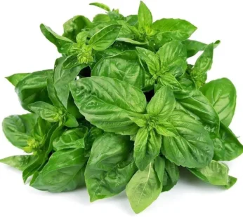 Basil – 100 gm