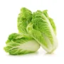 Chinese Cabbage - 500 gm